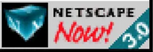 Netscape Browser